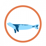 marine mammal icon