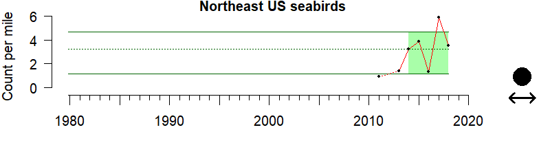graph of seabird abundance for the Northeast US region from 1980-2020
